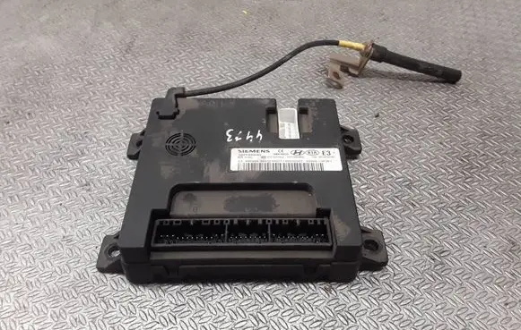 KIA Opirus Other control units/modules 954003F301 5WK48823