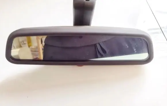 BMW 5 E39 Rear view mirror (interior) e11015313
