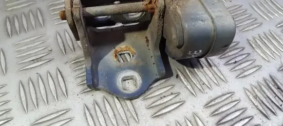 Rear door lower hinge