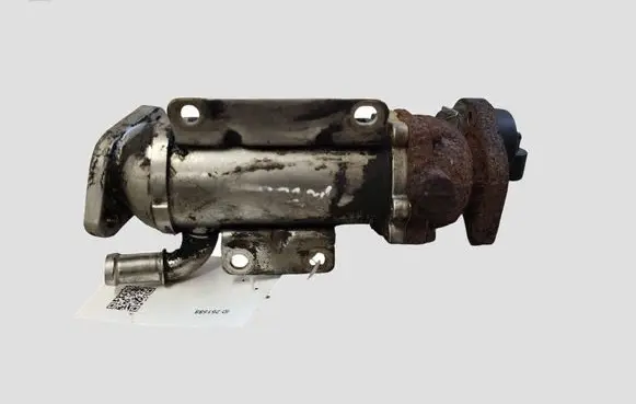 Renault Trafic II (X83) EGR valve H8200340616 876481V