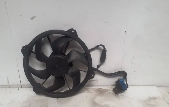 Citroen Berlingo Electric radiator cooling fan 300000801