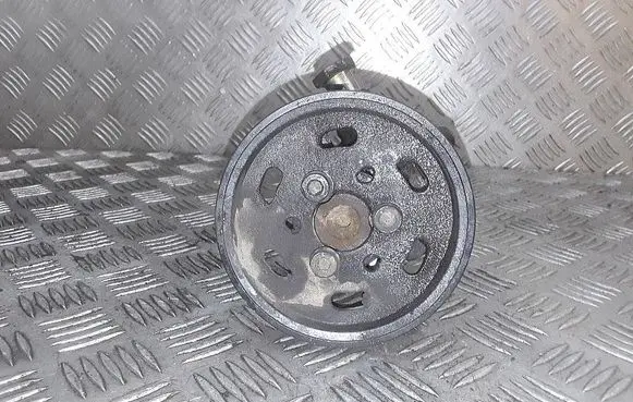 Volkswagen Golf IV Power steering pump
