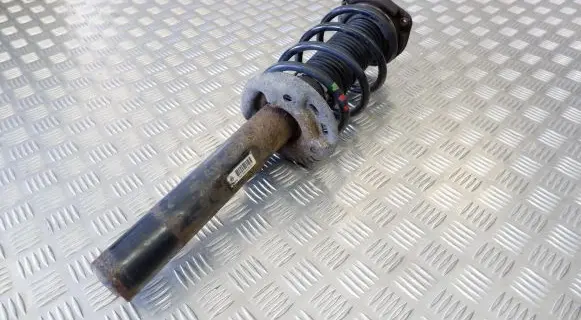 Volkswagen Tiguan Front shock absorber/damper 5N0413031K