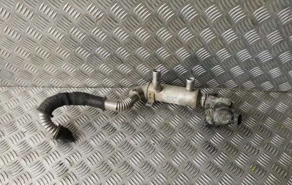 EGR valve