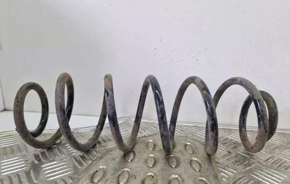 Citroen C4 I Rear coil spring