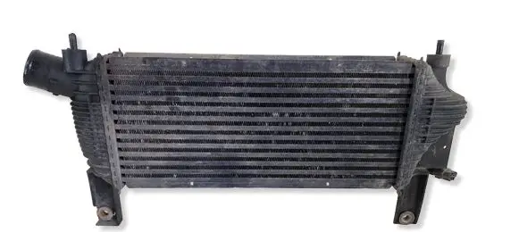 Nissan Pathfinder R51 Intercooler radiator 14461EB360