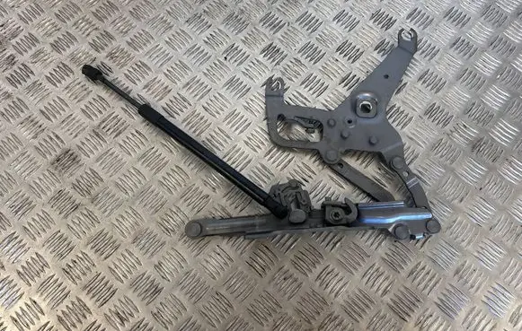 BMW X5 F15 Engine bonnet/hood hinges 4822221 17205310