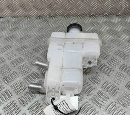 Toyota RAV 4 (XA50) Coolant expansion tank/reservoir G910G42010