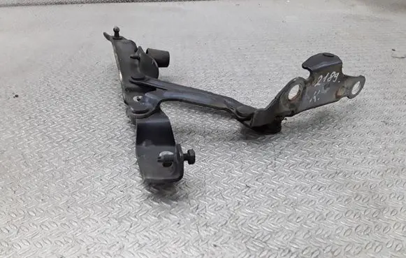 Tailgate/trunk/boot hinge