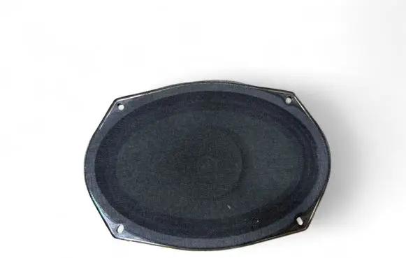 Dodge Charger Front door speaker 05091019AB