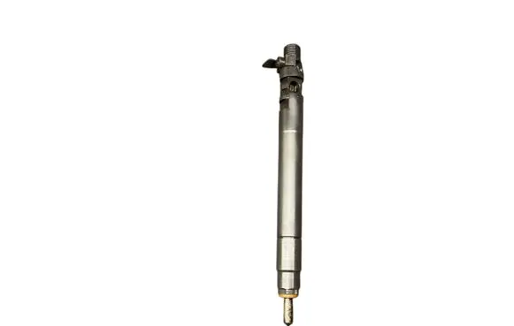 Ford Kuga I Fuel injector EMBR00101D 9686191080