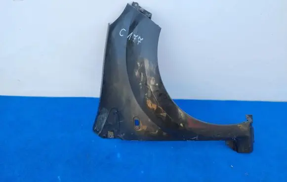 Renault Twingo II Fender 8200588325