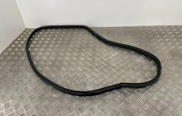 Citroen C4 Aircross Rear door rubber seal (on body) 