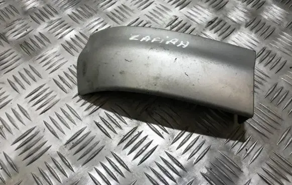 Rear/tail light trim molding
