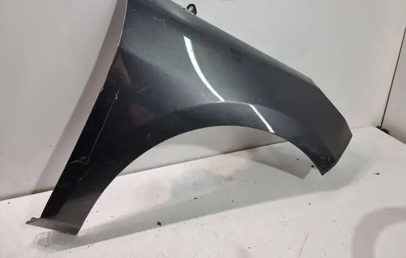 Ford Fiesta Fender