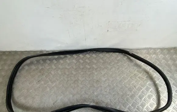 KIA EV6 Rear door rubber seal (on body)
