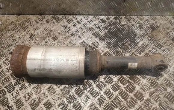 Land Rover Range Rover Sport L320 Air suspension front shock absorber RNB501190 22231454