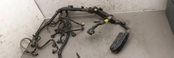 Chevrolet Tacuma Engine installation wiring loom 5F17KWC