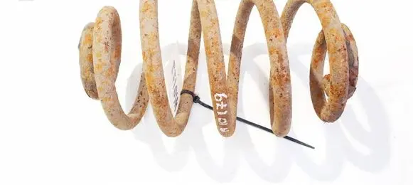 Renault Clio II Rear coil spring