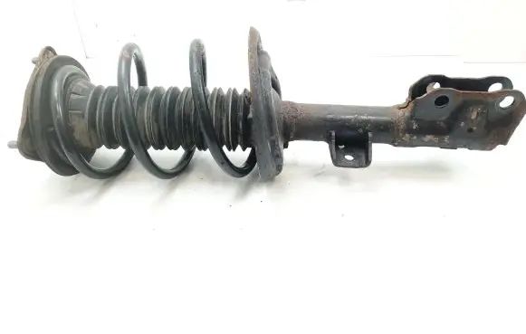 Toyota RAV 4 (XA50) Front shock absorber with coil spring 1A19742AR