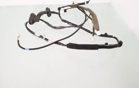 Rear door wiring loom