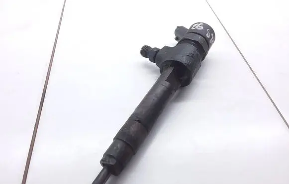 Opel Zafira B Fuel injector 0445110165 8ZZT7KB88