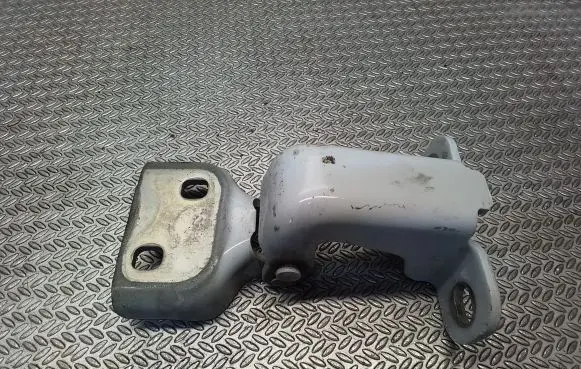 Renault Trafic III (X82) Front door lower hinge 804005400R