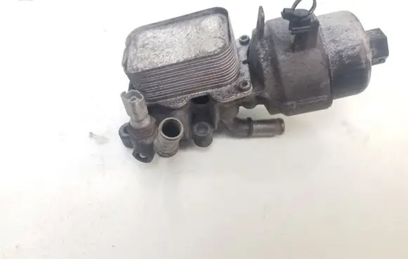 Peugeot Expert Oil filter mounting bracket 9656830180