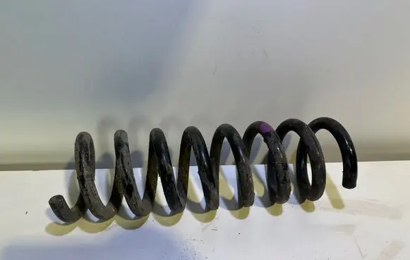 Rear coil spring