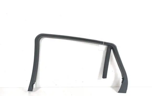 BMW X6 E71 Other rear door trim element 51357179730