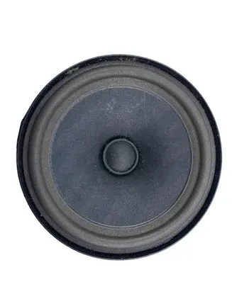 Volkswagen ID.4 Rear door speaker 11A035710