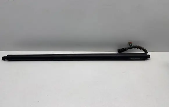 Ford F150 Tailgate strut NL3416C826AB 25900 V2V7B