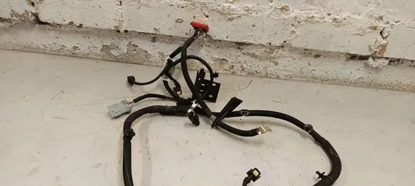Engine installation wiring loom