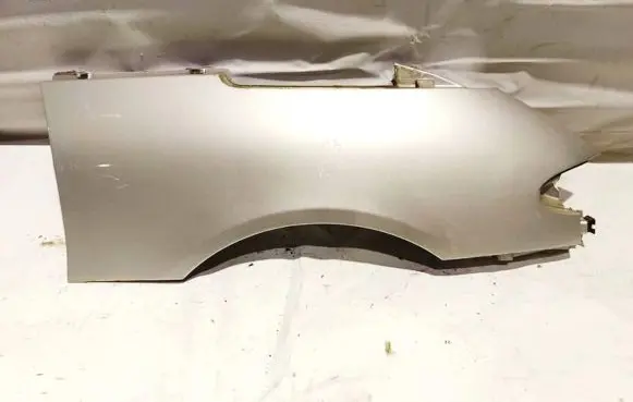 Renault Espace III Fender Sidabrine