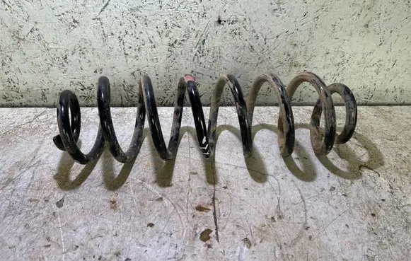 Rear coil spring