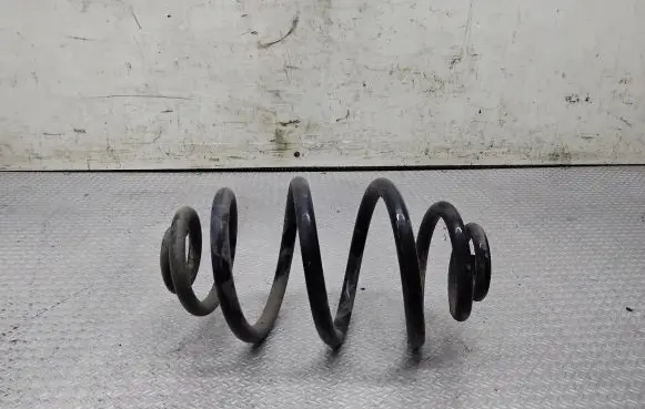 Volkswagen PASSAT B5.5 Rear coil spring