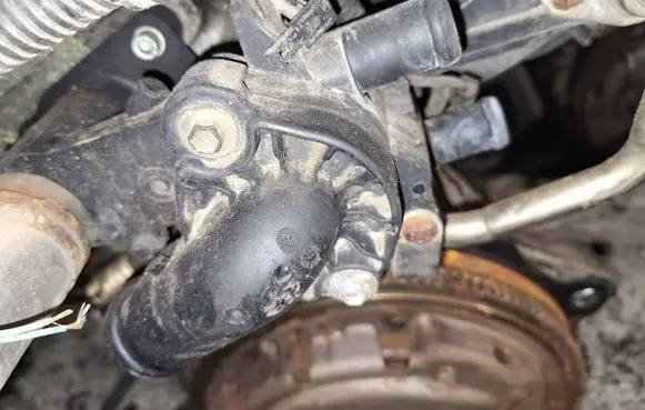 Volkswagen Golf Plus Engine coolant pipe/hose 032121111
