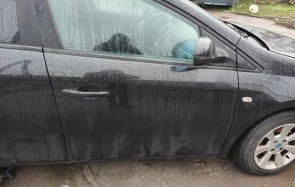 Fiat Bravo Rear door