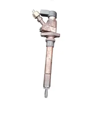 Peugeot 407 Fuel injector 9657144580 D0841749