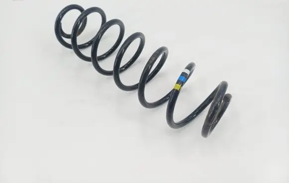 Rear coil spring