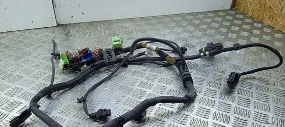 BMW X6 F16 Other wiring loom 8581846