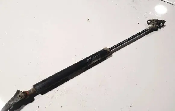 Tailgate/trunk strut/damper