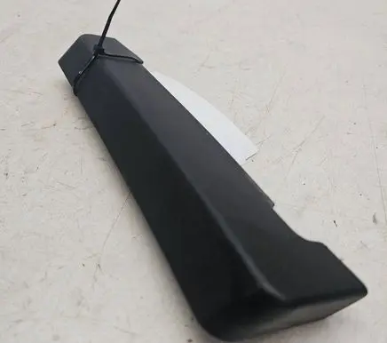 Rear/tail light trim molding