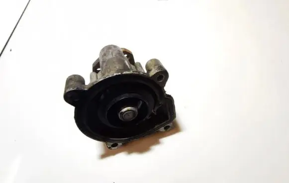 Volkswagen Golf V Water pump 03C121019B