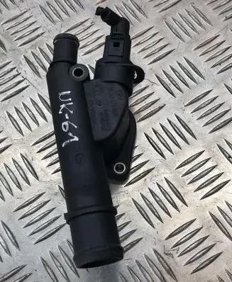 Thermostat/thermostat housing