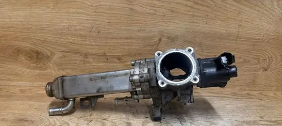 EGR valve cooler