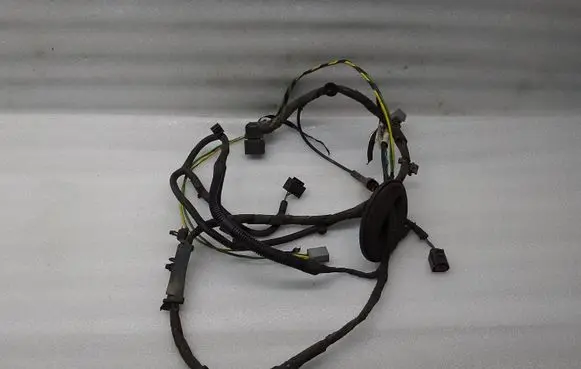 Other wiring loom