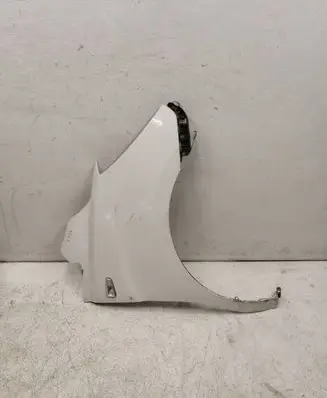 Hyundai H-1, Starex, Satellite Fender