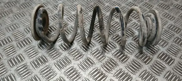 Rear coil spring