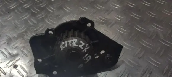 Citroen ZX Water pump